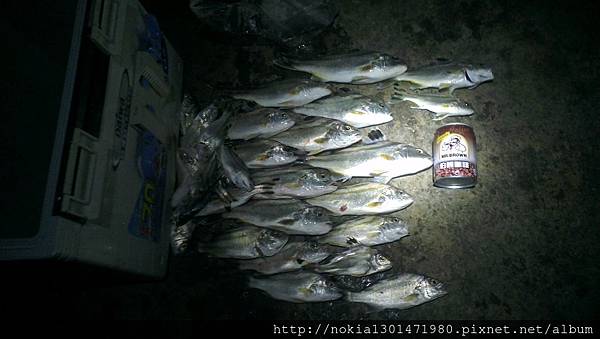 鹿港  遠投  花身雞魚