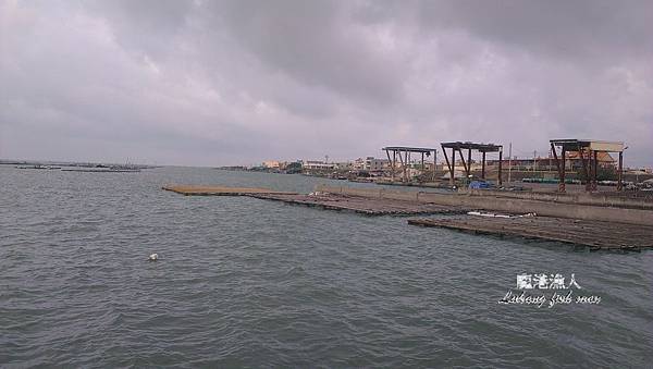 IMAG2667