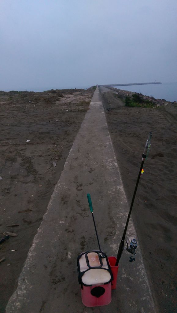 IMAG2665