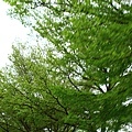 3352817957_a2f5d400db_o.jpg