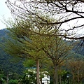3352826309_81aec756cd_o.jpg