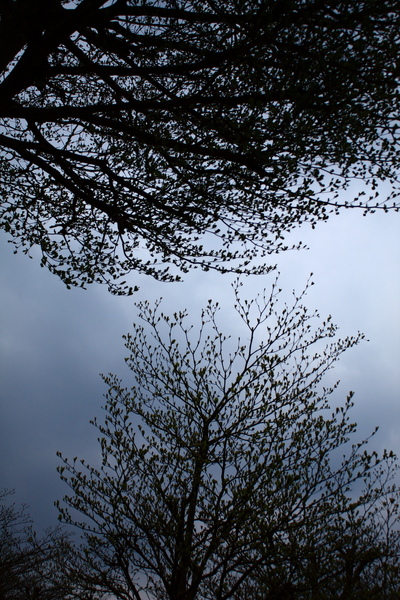 3352827531_e59d9c2029_o.jpg