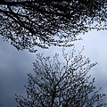 3352827531_e59d9c2029_o.jpg