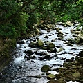 3352844529_fe159c0386_o.jpg