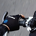 3353640830_76fe61567c_o.jpg