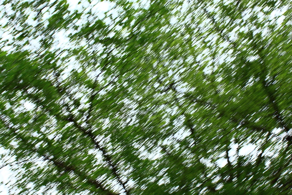 3353642358_4c4c1b804c_o.jpg
