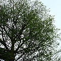 3353653722_eb1a44fd0c_o.jpg