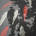 3353654020_8d2257c78e_o.jpg