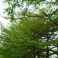 3353642014_2c335d0035_o.jpg