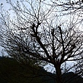 3352825877_0a8d7321cc_o.jpg
