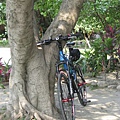 IMG_0896.JPG