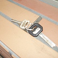P1014266.JPG