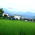 3580103083_130c1dc01b_o.jpg