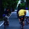 3580893756_cc4dc20db3_o.jpg