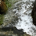 3580937010_da334b3305_o.jpg
