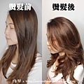 艾門髮藝 IVEN HAIR 燙髮分享