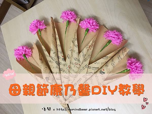 母親節康乃馨DIY教學 母親節康乃馨DIY教學