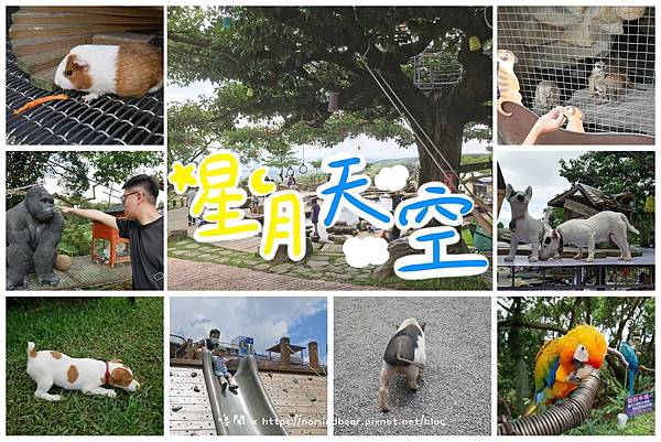 星月天空景觀餐廳