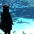 Honeyview_2西海99水族館 (72).jpg