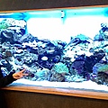 Honeyview_2西海99水族館 (100).jpg