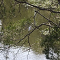 IMG_1284.JPG