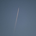 IMG_3890.JPG