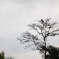 IMG_4057.JPG