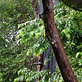 IMG_4006.JPG