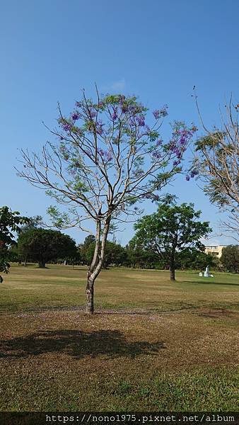 台東縣森林公園(20230402)