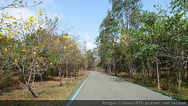 台東縣森林公園(20230402)