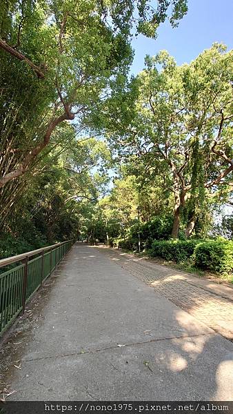 台中外埔～水流東桐花步道/高鐵觀景台