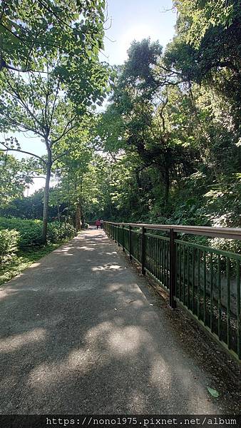 台中外埔～水流東桐花步道/高鐵觀景台