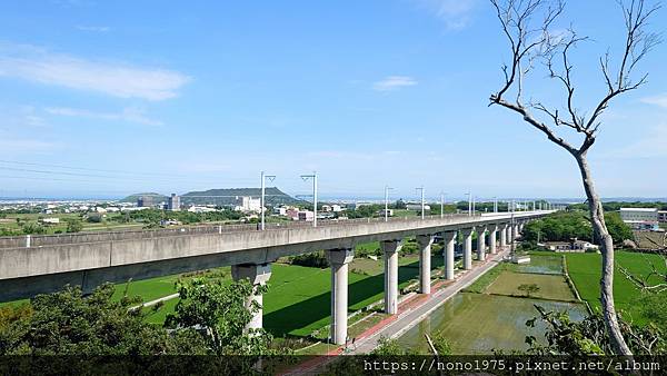 台中外埔～水流東桐花步道/高鐵觀景台