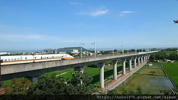 台中外埔～水流東桐花步道/高鐵觀景台