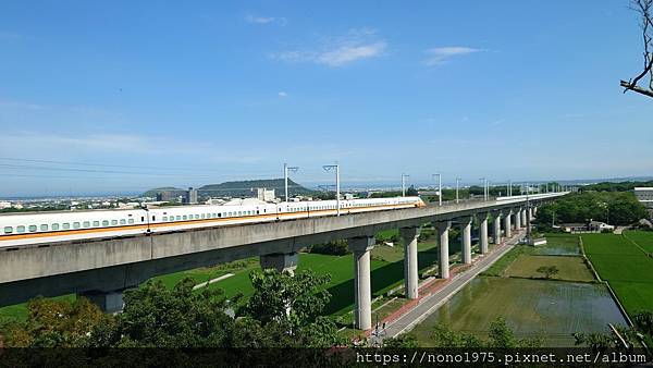 台中外埔～水流東桐花步道/高鐵觀景台