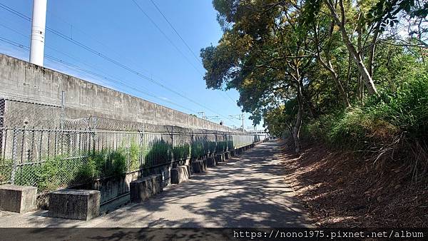 台中外埔～水流東桐花步道/高鐵觀景台