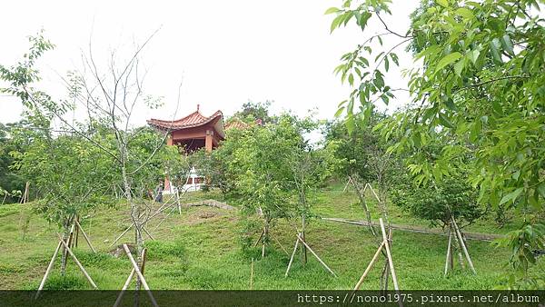 彰化花壇～虎山巖登山步道