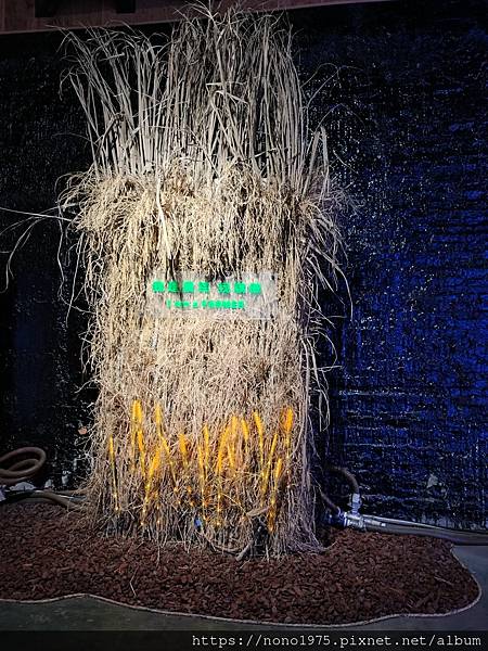 雲林北港~The MEGA Yunlin 雲林厚工學~農業學