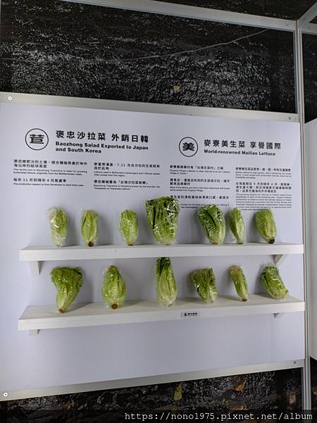 雲林北港~The MEGA Yunlin 雲林厚工學~農業學