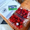 IMG_0432-1-1