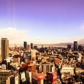 IMG_0449-1-1.jpg