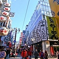 IMG_0774-1-1.jpg