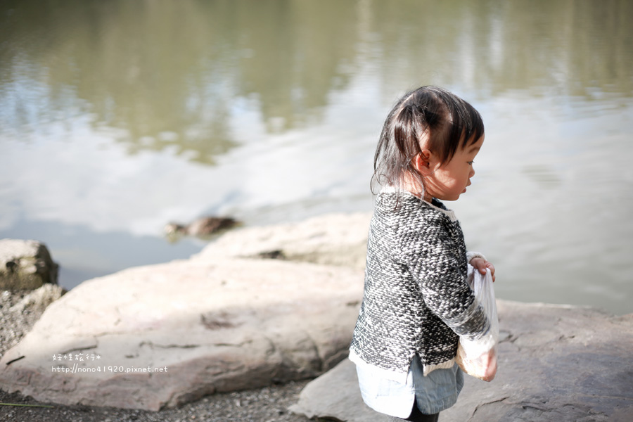 1P1A8152-1-1.jpg