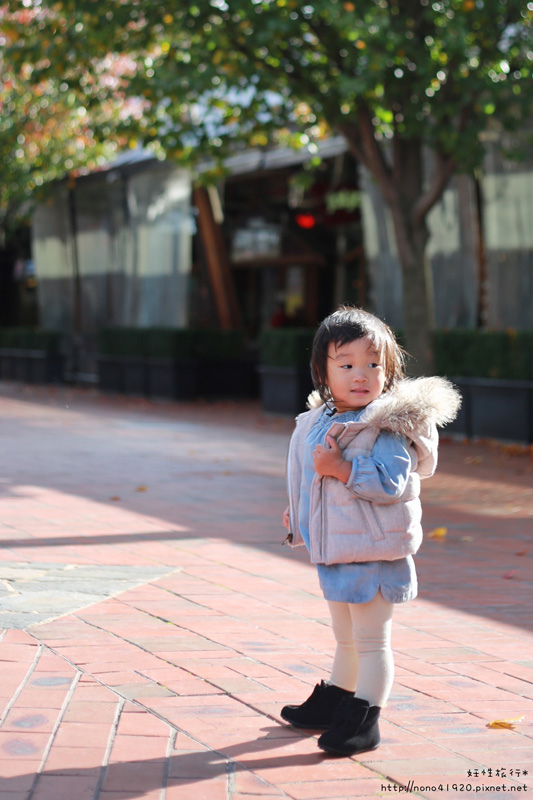 1P1A8248-1-1.jpg 1P1A8248-1-1.jpg
