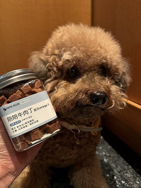 寵物零食-Peperoni評價/韓國寵物零食推薦/挑食狗零食