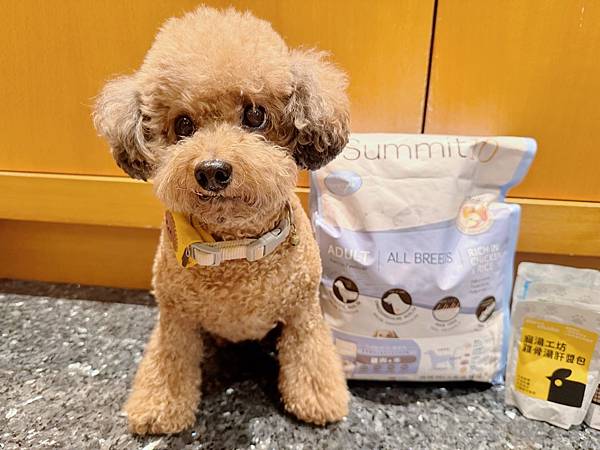 【毛孩日常分享】波尼的美味健康餐點｜Summit10 森咪特