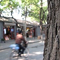 2006北京 239.jpg