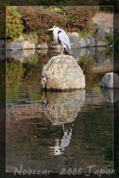 圓山公園