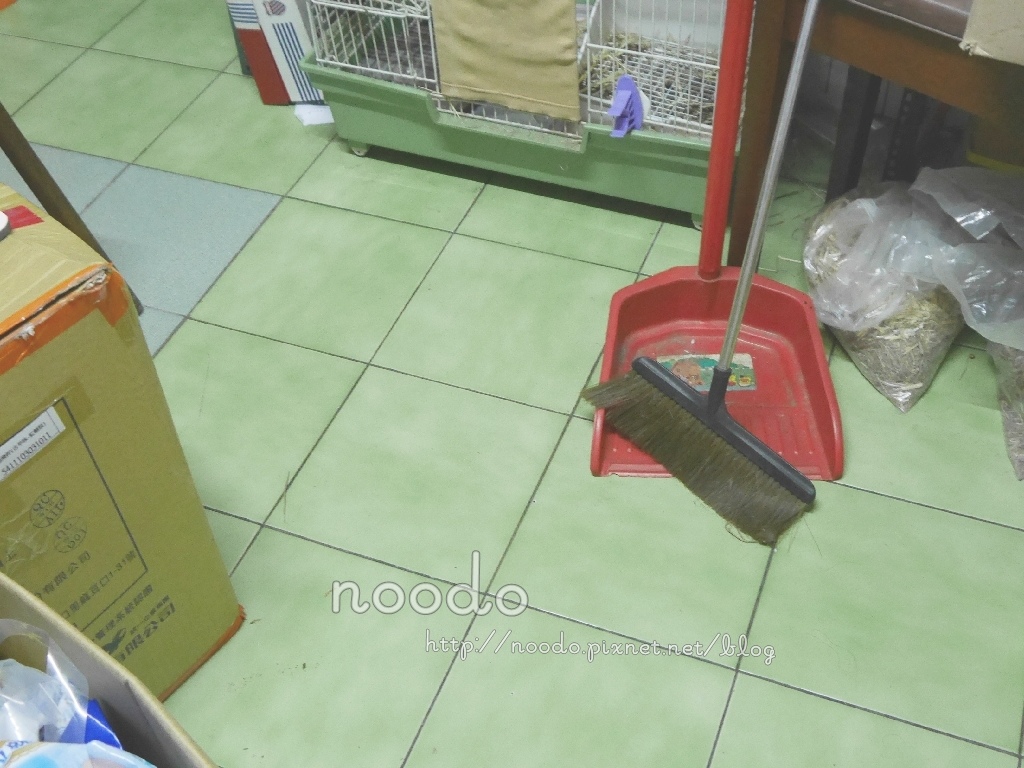 試用