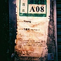 holga135bc-20080502-24.jpg